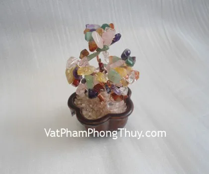 Cây đá nhiều màu chậu mai mini CA254