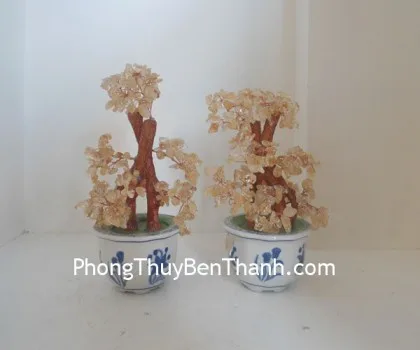 Cây thạch anh vàng N001