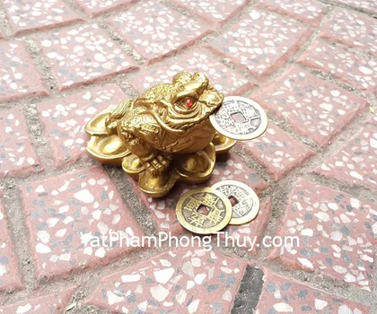 Thiềm thừ lam ngọc trung FGM023